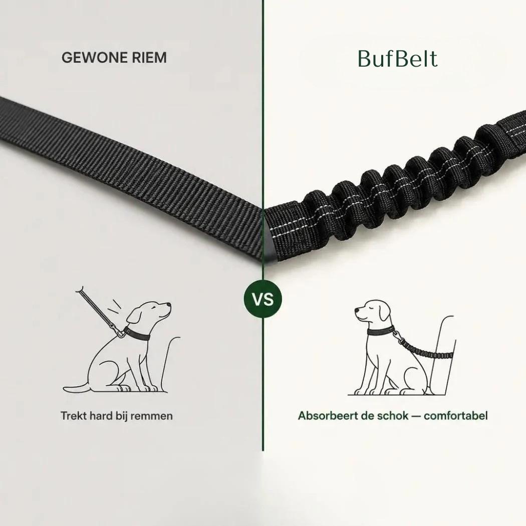 BufBelt – Je Hond Veilig Vast op Elke Autorit