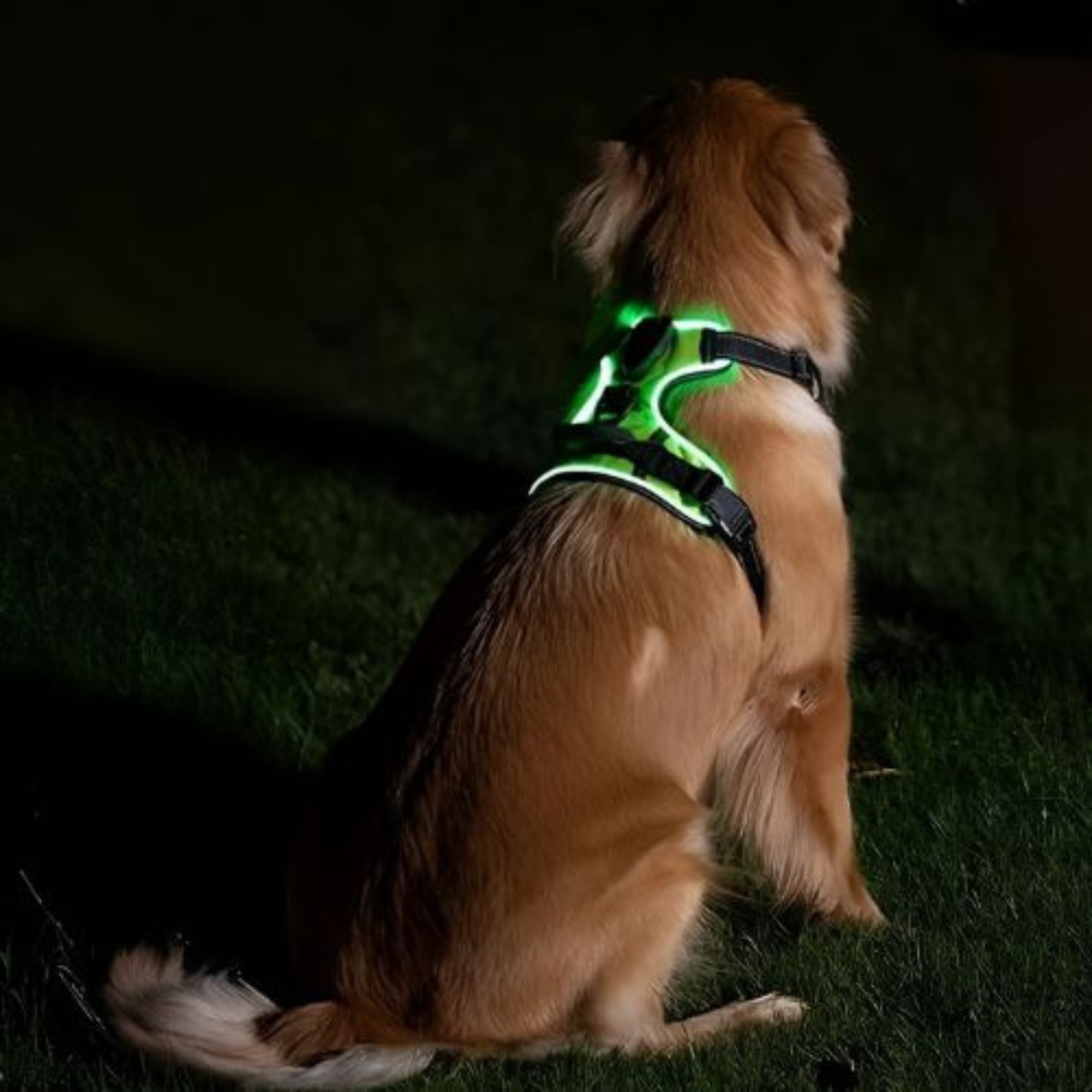 GlowGuard tuig USB opladen