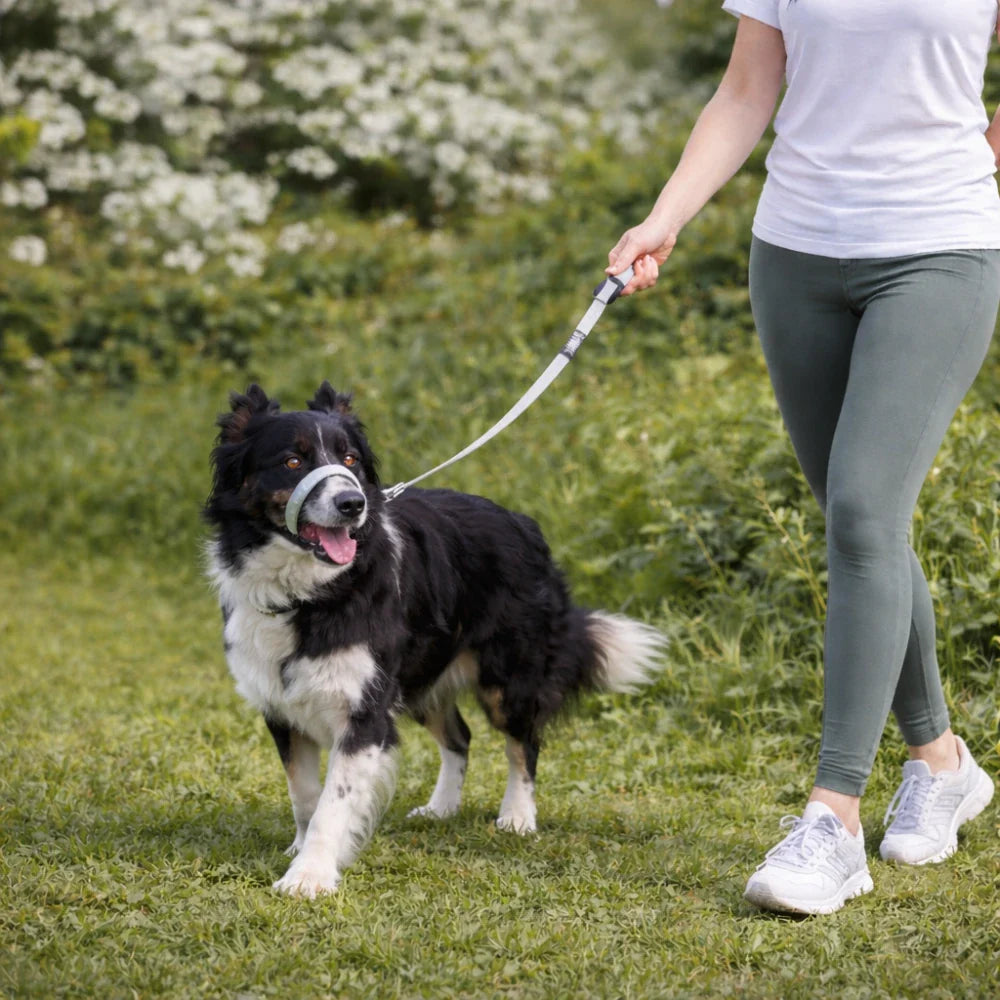 WalkEasy - Anti Trek Hondenriem voor Ontspannen Wandelen