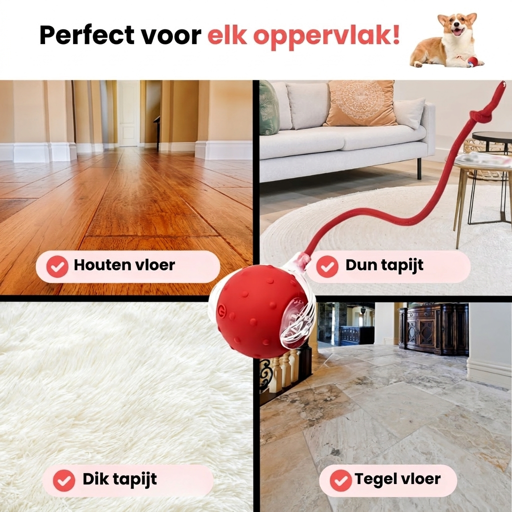 FlashTail – Urenlang speelplezier voor je hond