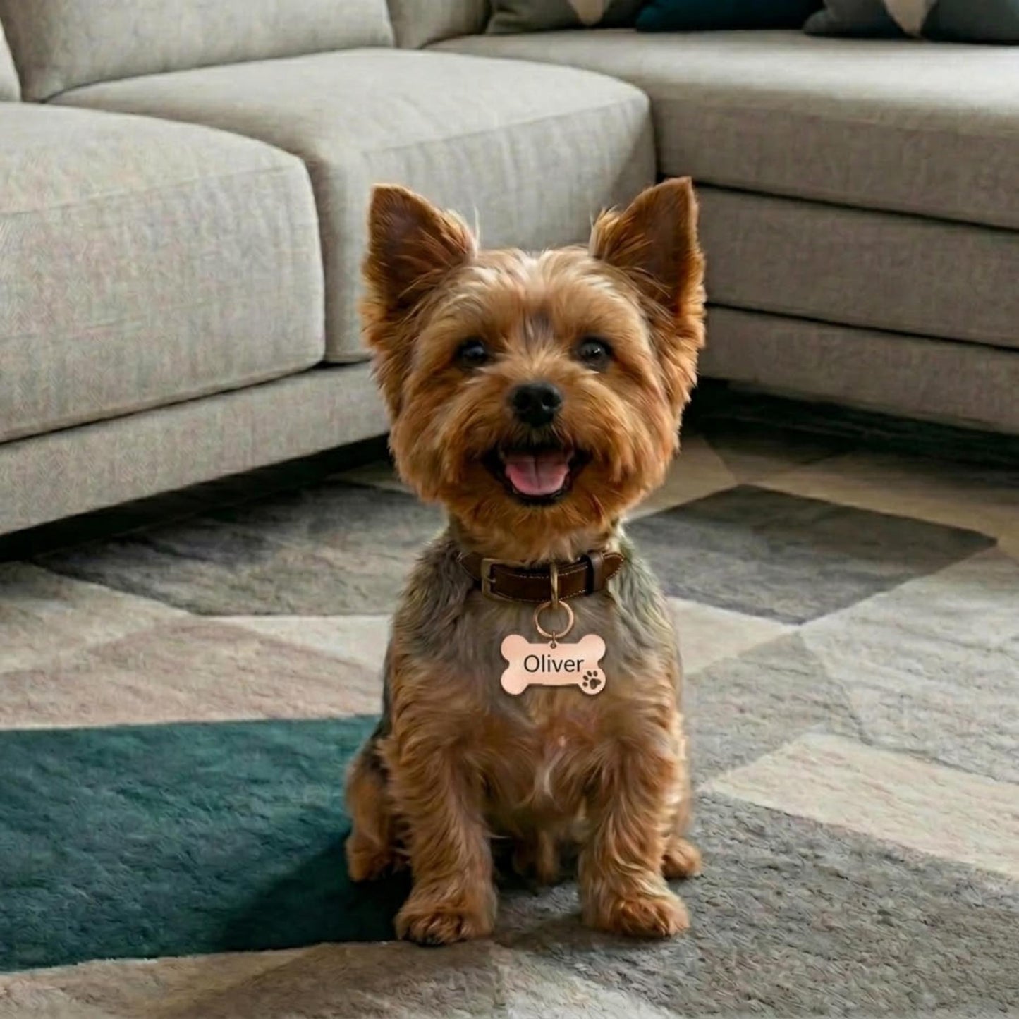 PawTag – Gepersonaliseerde Hondenpenning
