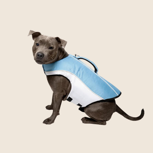 SwimGuard – Zwemvest Hond voor Veilig en Zorgeloos Zwemplezier