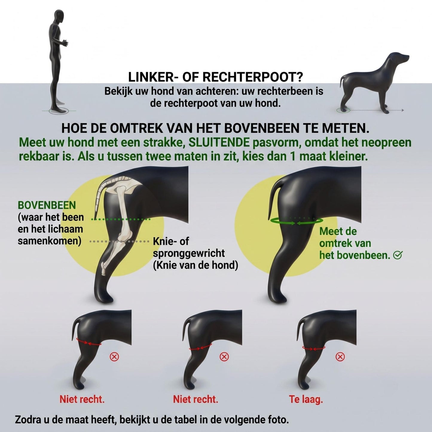KneeRelief – weer pijnvrij en zeker op vier poten