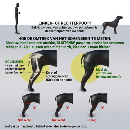 KneeRelief – weer pijnvrij en zeker op vier poten