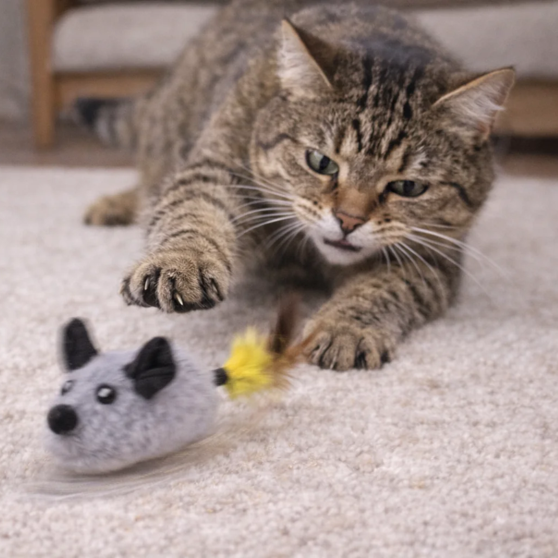 ChaseMouse realistische beweging
