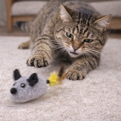 ChaseMouse realistische beweging