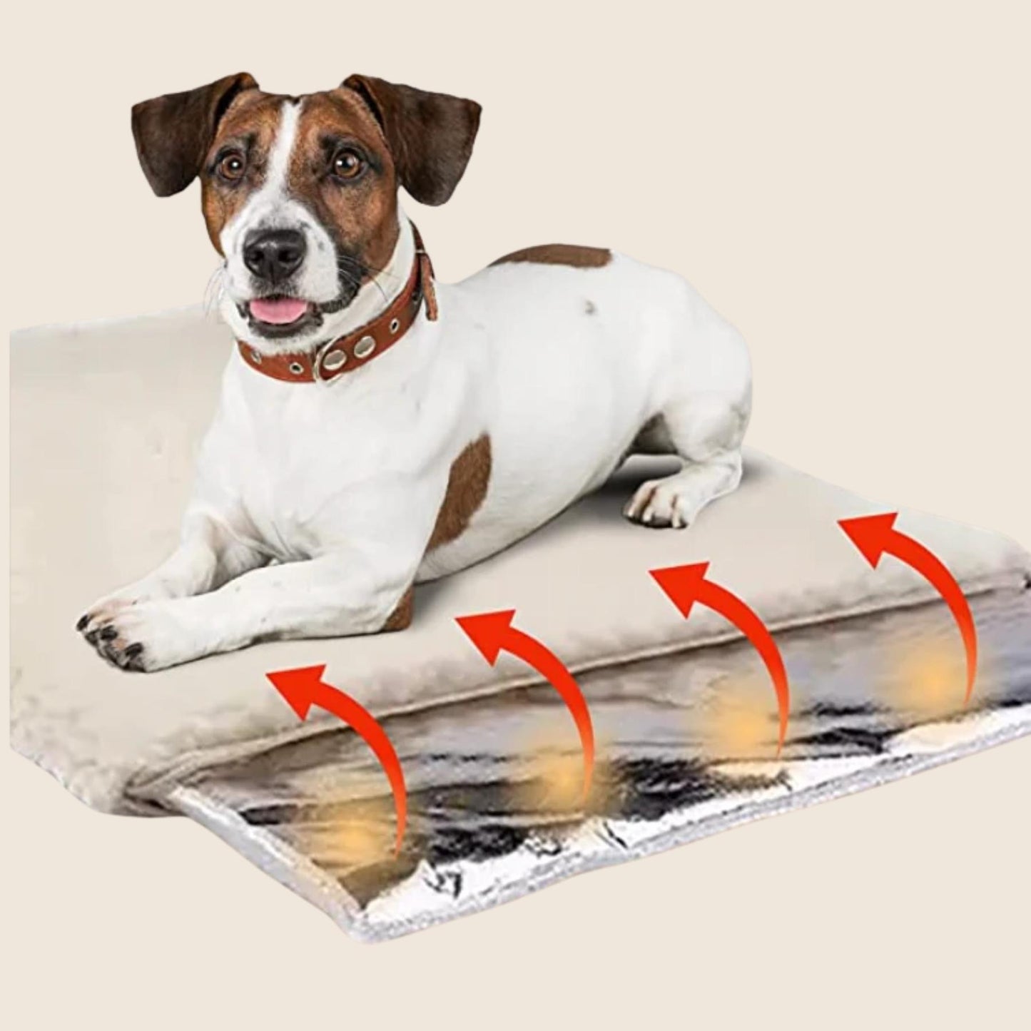CozyPaw - Zelfverwarmende hondenmat zonder stroom voor de winter