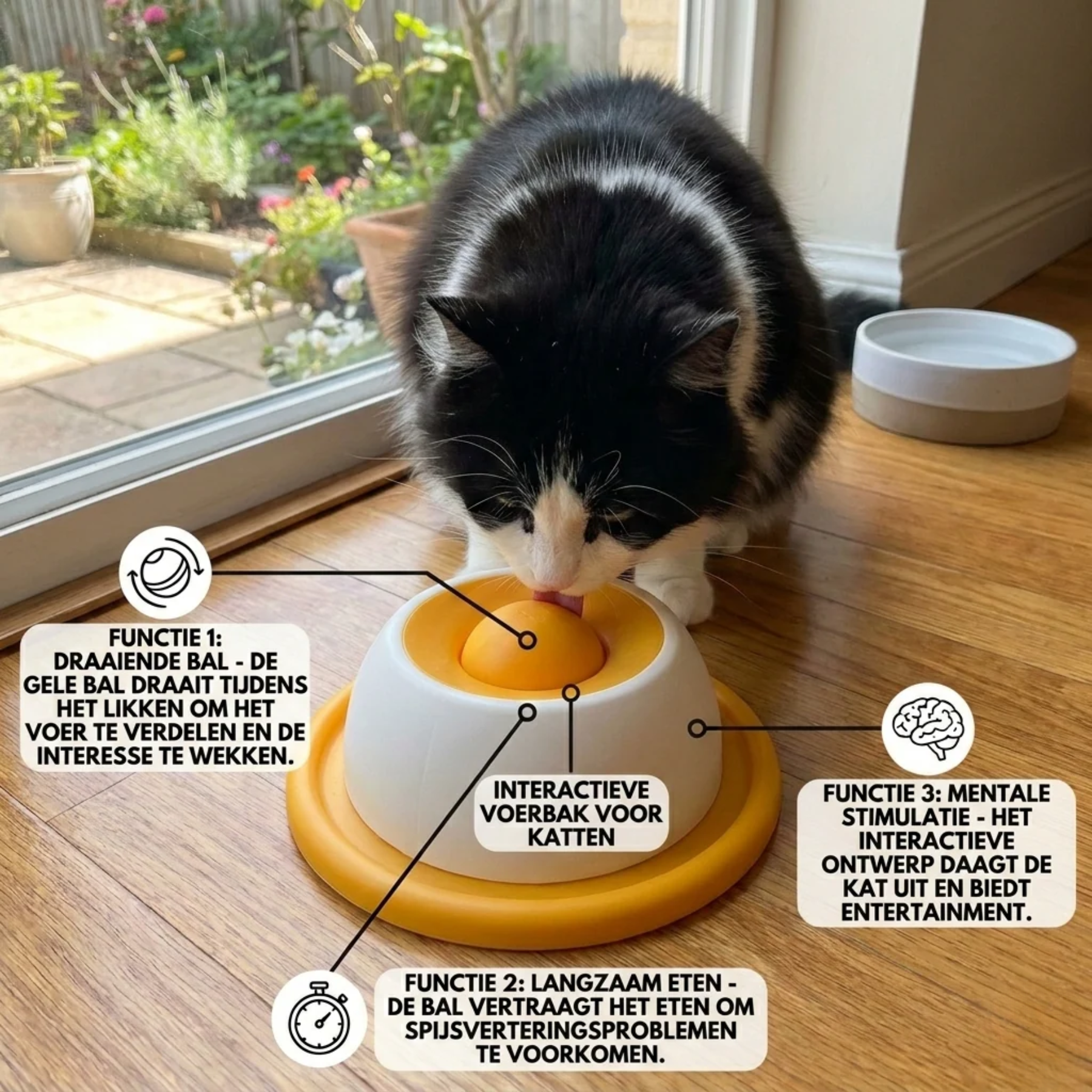 SnackSpin slow feeder detail