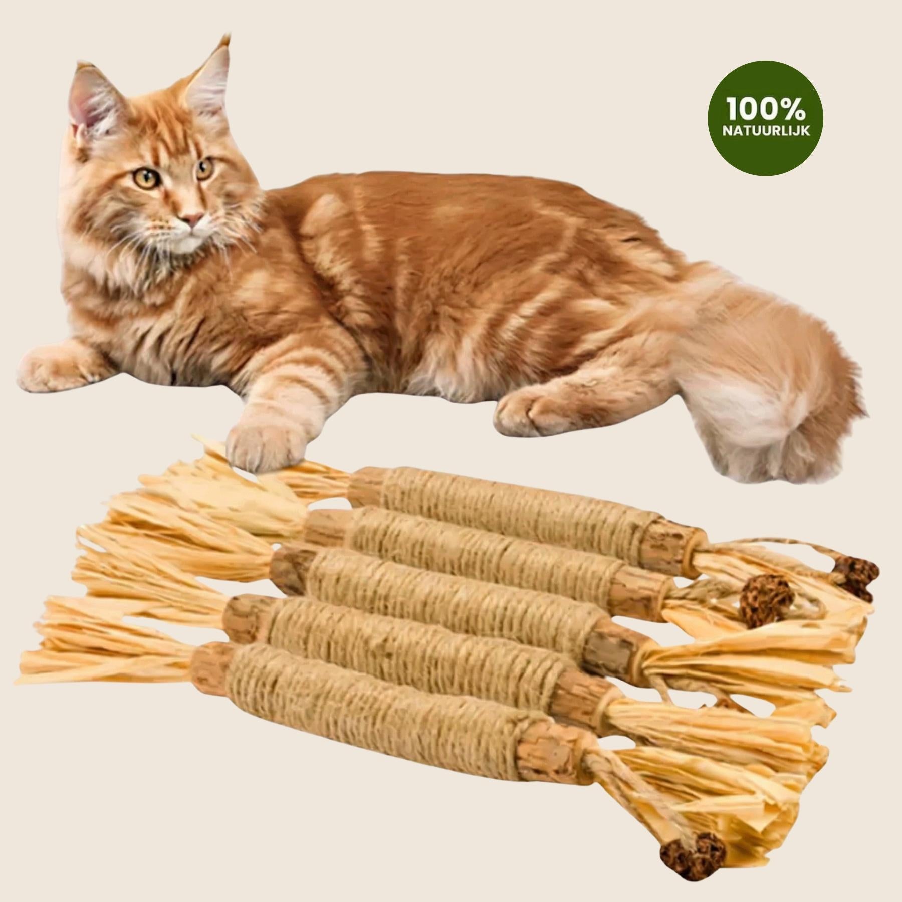 Matatabi Sticks productfoto