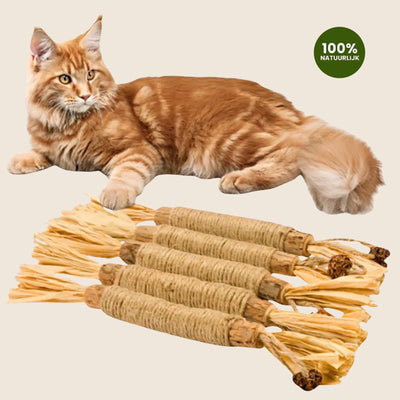 Matatabi Sticks productfoto