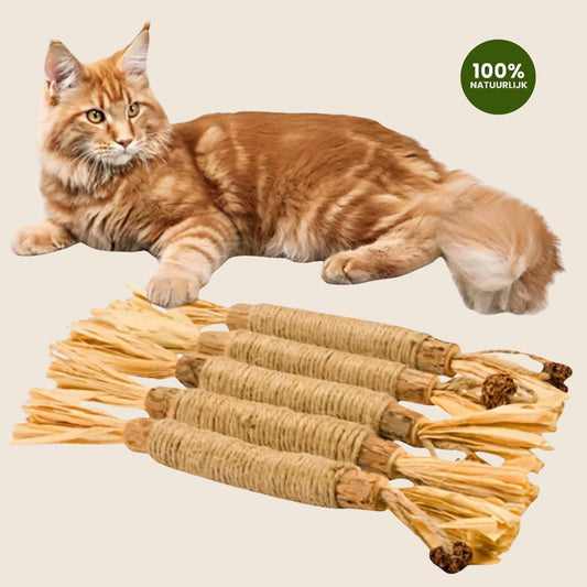 Matatabi Sticks productfoto