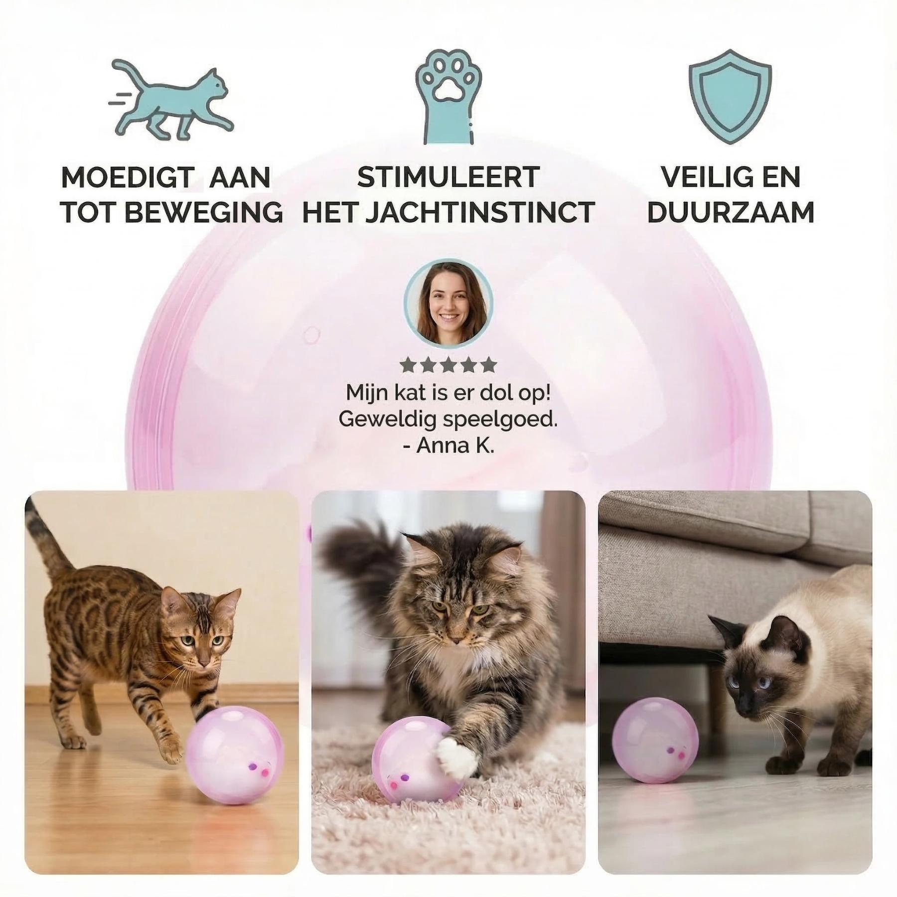 Kat jaagt op HamsterRol bal
