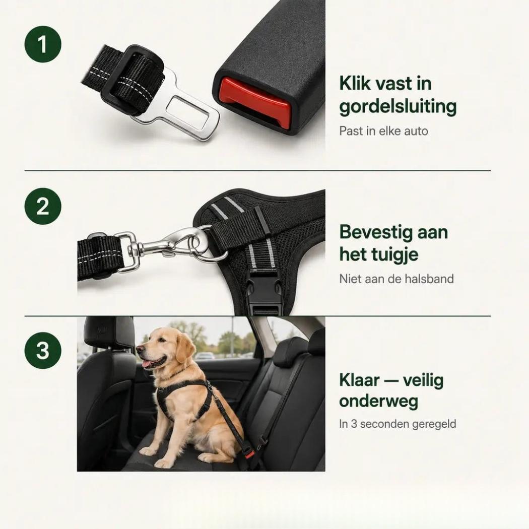 BufBelt – Je Hond Veilig Vast op Elke Autorit