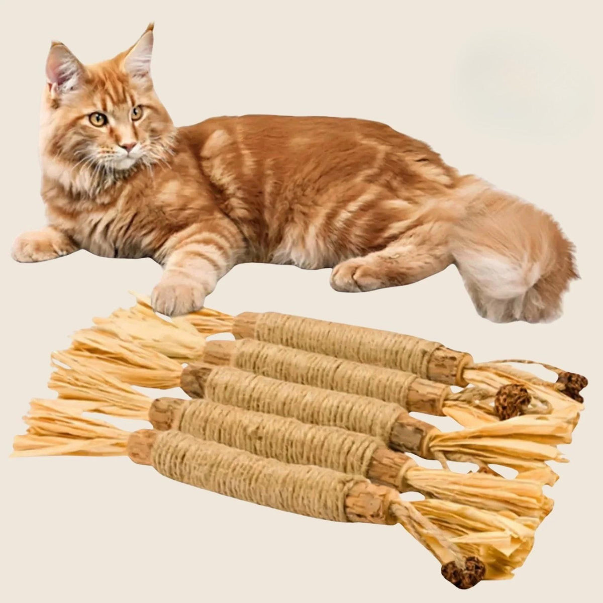 Matatabi Sticks - Natuurlijke Kauwsticks voor Katten
