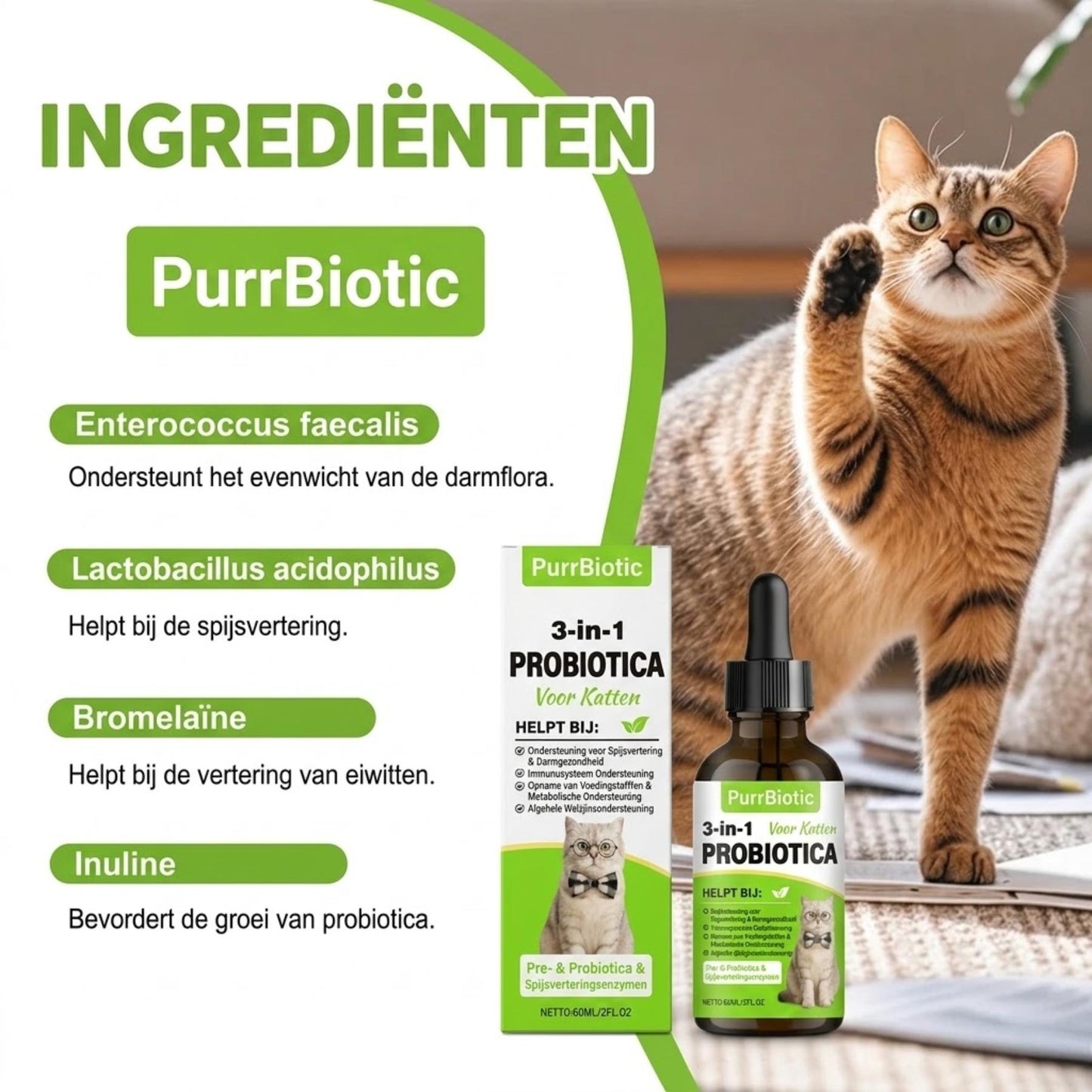 PurrBiotic – 3-in-1 probiotica voor katten met betere spijsvertering