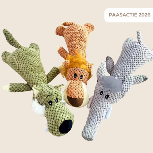 ChewChamp productfoto