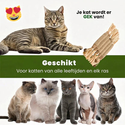 Matatabi Sticks sfeerbeeld