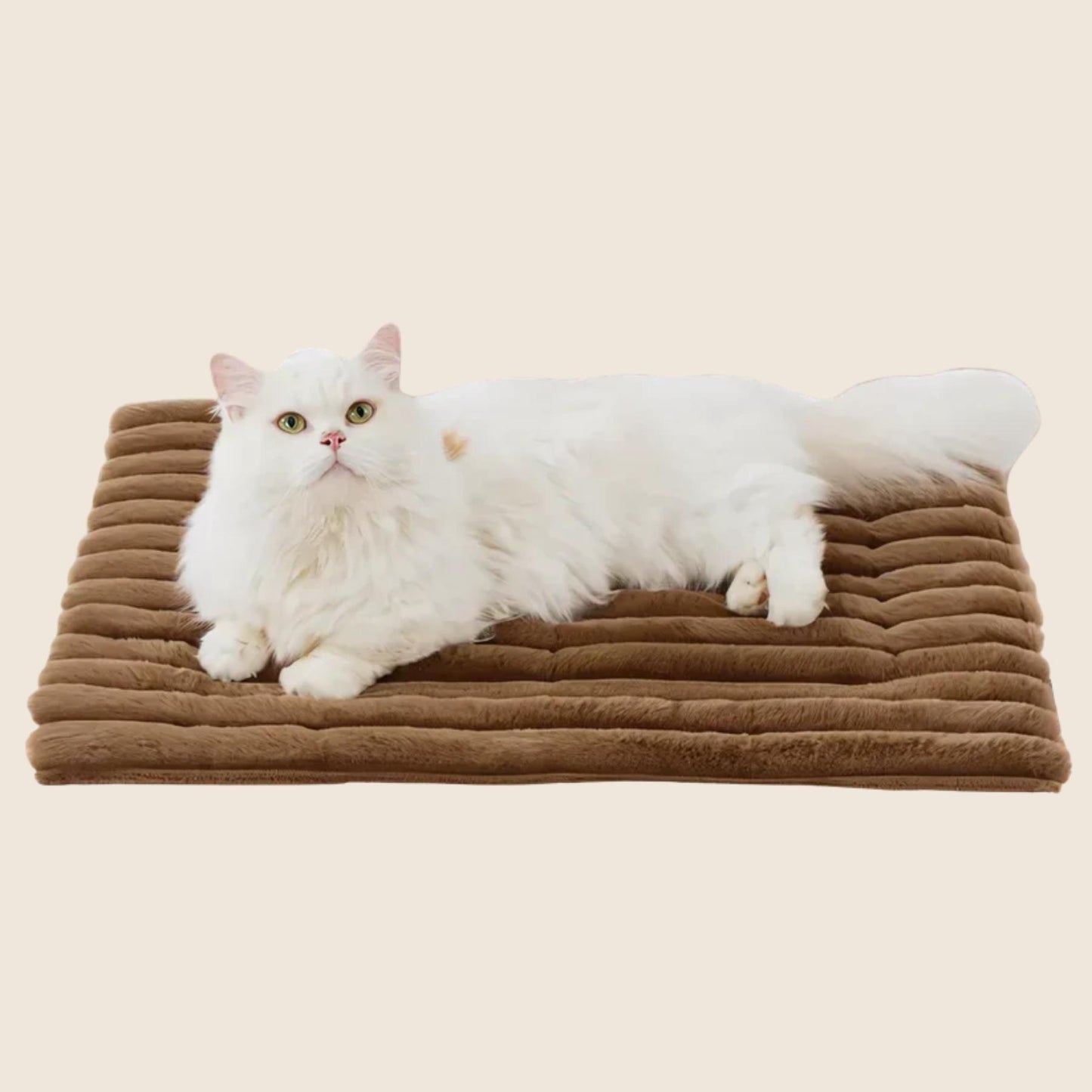WarmNest - Zelfverwarmende Hondenmand & Kattenmand voor de Winter
