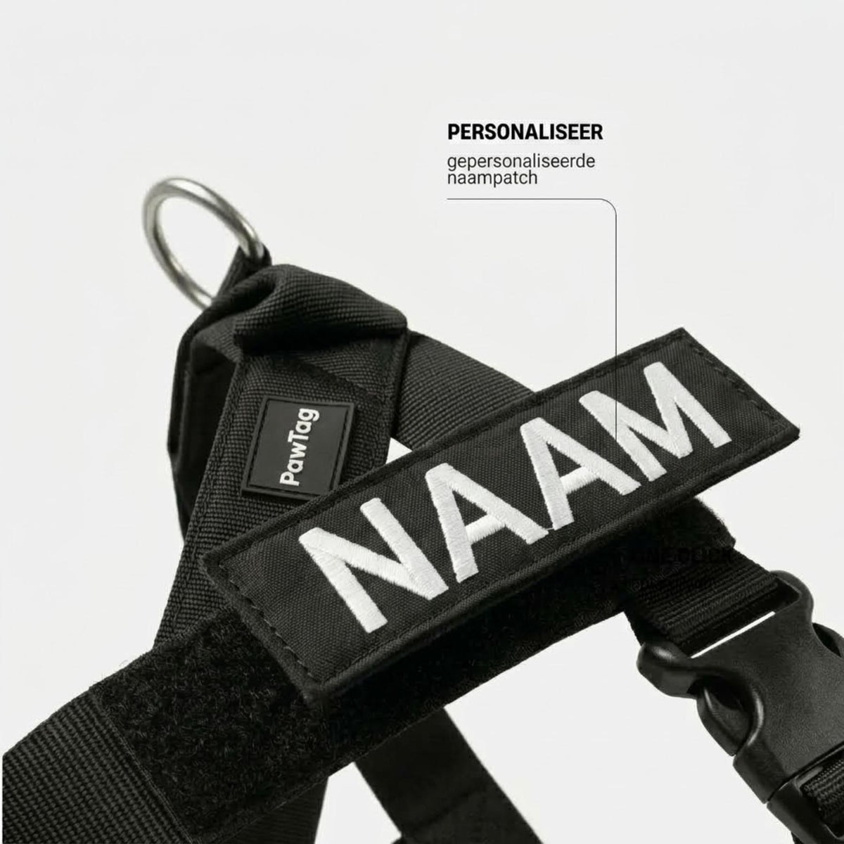 Detail van het hondentuig met de naam van de hond op het naamlabel