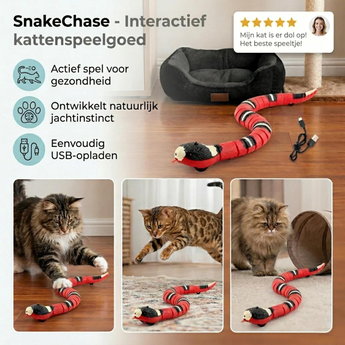 SnakeChase detail