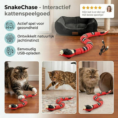 SnakeChase detail