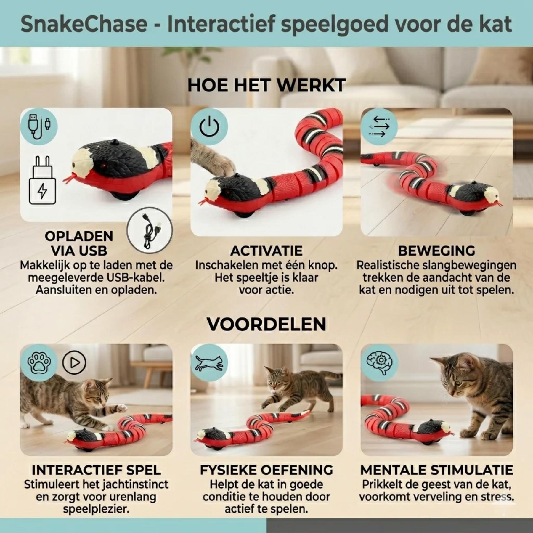 SnakeChase in gebruik