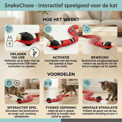 SnakeChase in gebruik