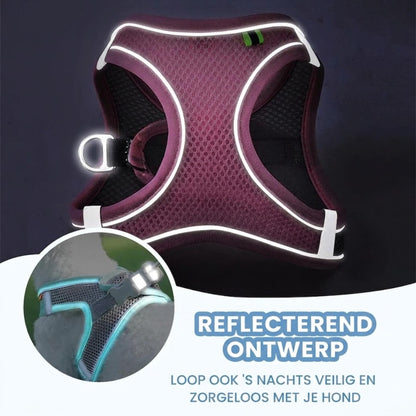 TrailPup - Anti-trek Puppytuigje dat de Nek Ontlast
