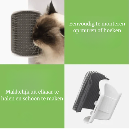 PurrCorner kat geniet van massage