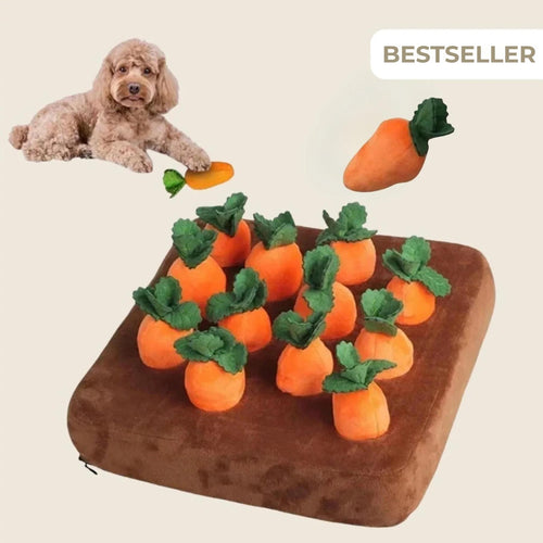 SnuffelTuin - Snuffelmat Hond voor Speurplezier