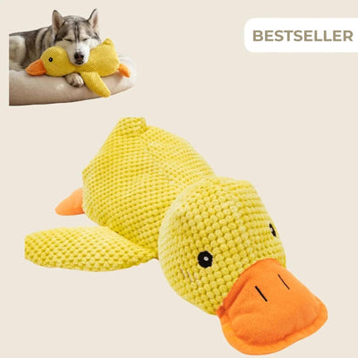 BuddyBite - Hondenknuffel die Angst & Stress Wegneemt