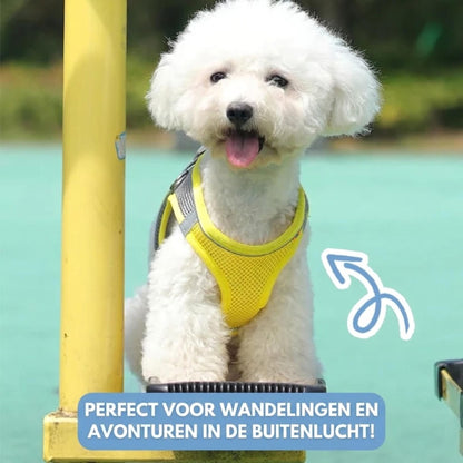 TrailPup - Anti-trek Puppytuigje dat de Nek Ontlast
