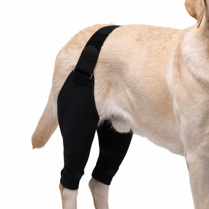 KneeRelief – weer pijnvrij en zeker op vier poten