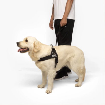 WalkGuard - Hondentuig met Naam voor Trotse Baasjes