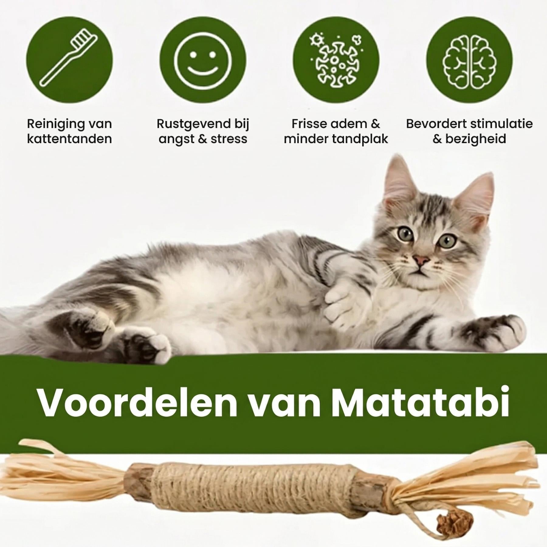 Matatabi Sticks detail