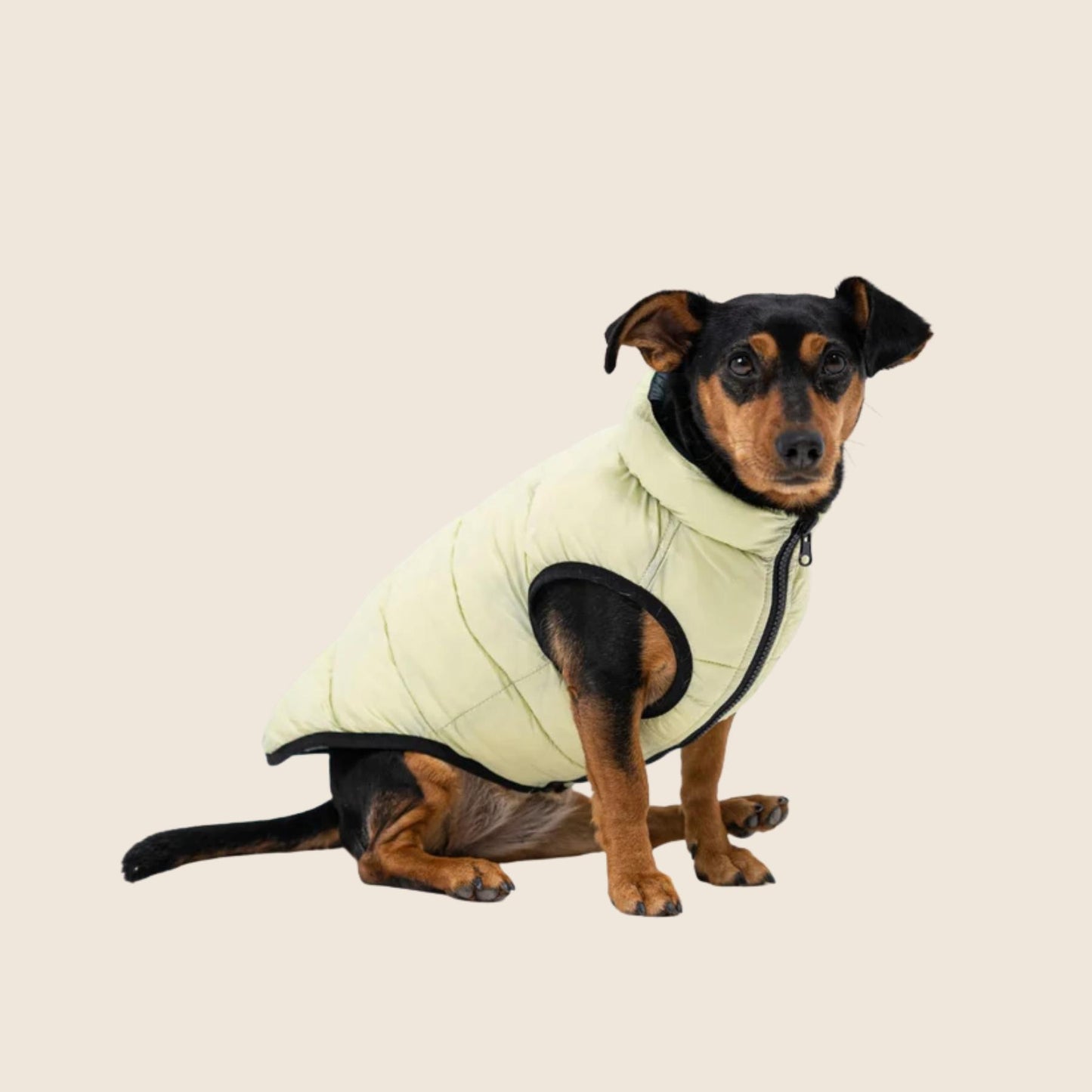 CozyCloak - Warme omkeerbare hondenjas voor de winter