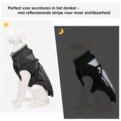 RainShell - Waterdichte Hondenjas met Geïntegreerd Tuigje