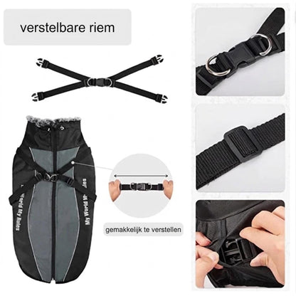 RainShell - Waterdichte Hondenjas met Geïntegreerd Tuigje