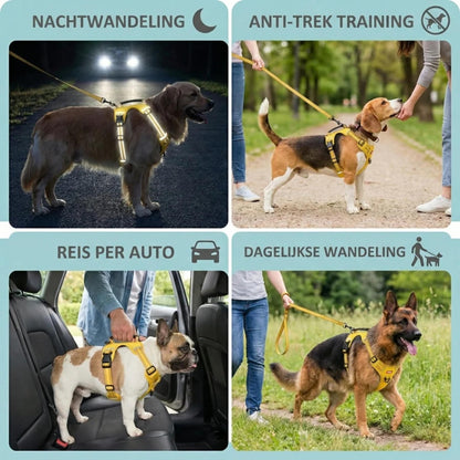 SafeWalk hondentuig pasvorm