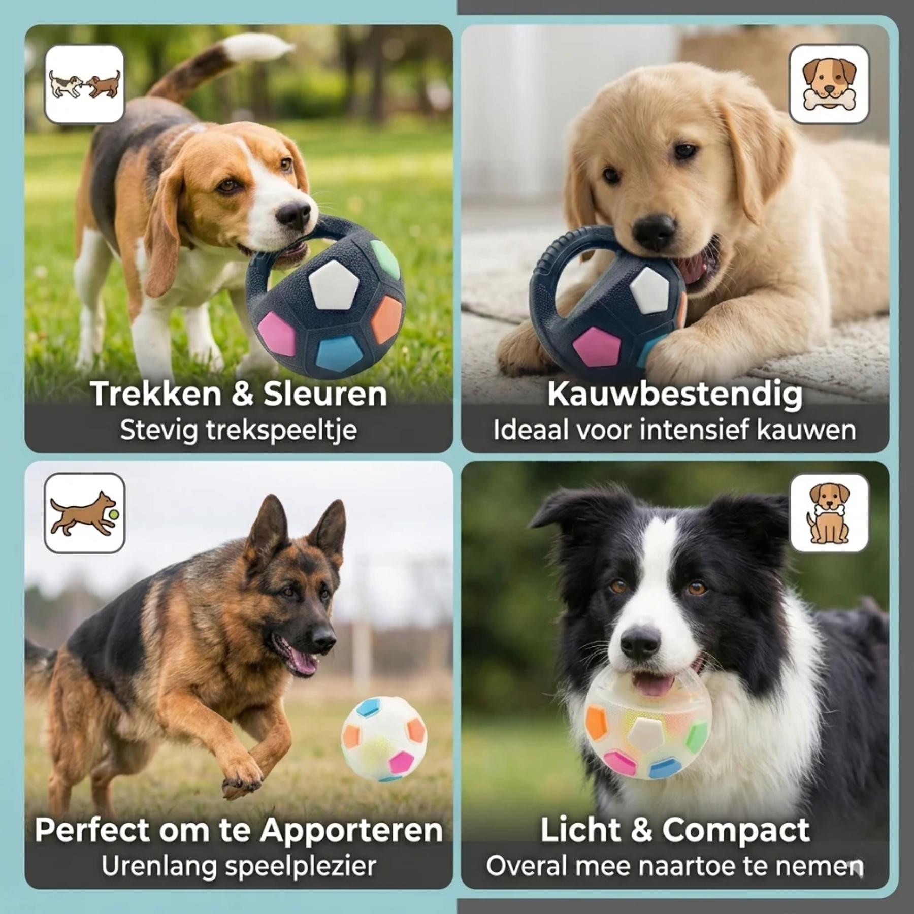 Hond kauwt op ToughBall stressbal