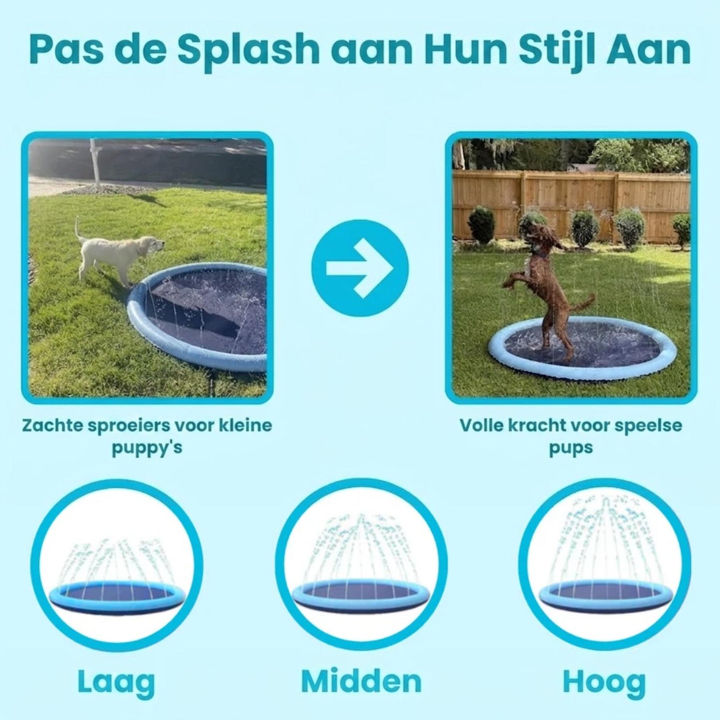AquaSplash