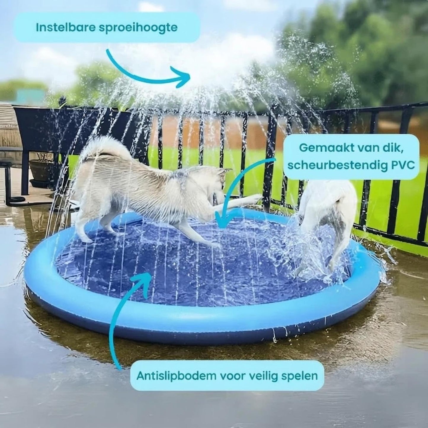 AquaSplash
