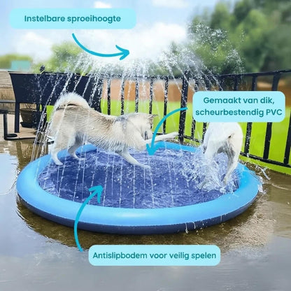 AquaSplash