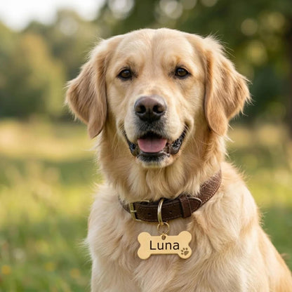 PawTag – Gepersonaliseerde Hondenpenning