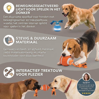 PlayPulse - Interactieve hondenbal met bewegingssensor en trektouw