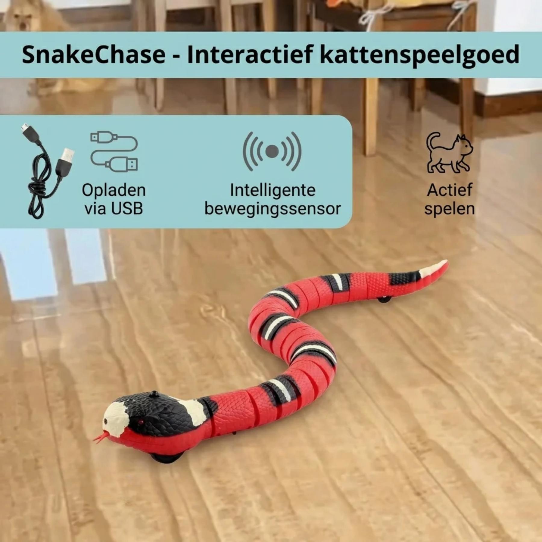 SnakeChase kenmerken