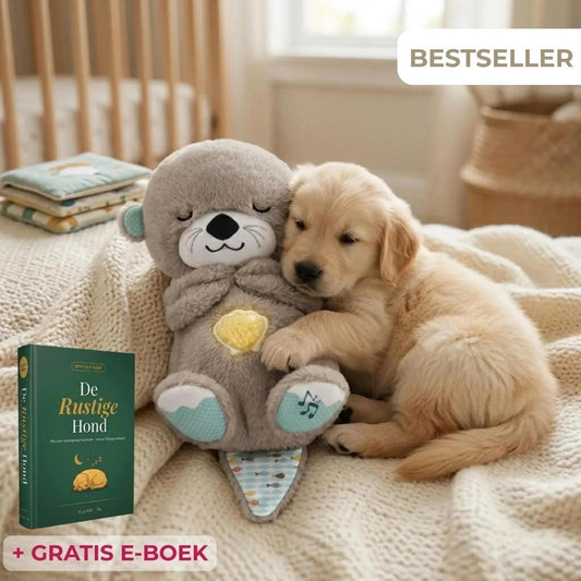 SnuggleOtter – Kalmerende Ademende Otter