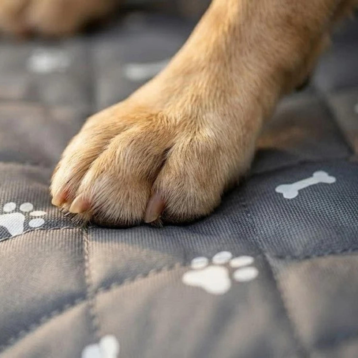 CargoShield - Waterafstotende kofferbakbeschermer hond voor elke SUV