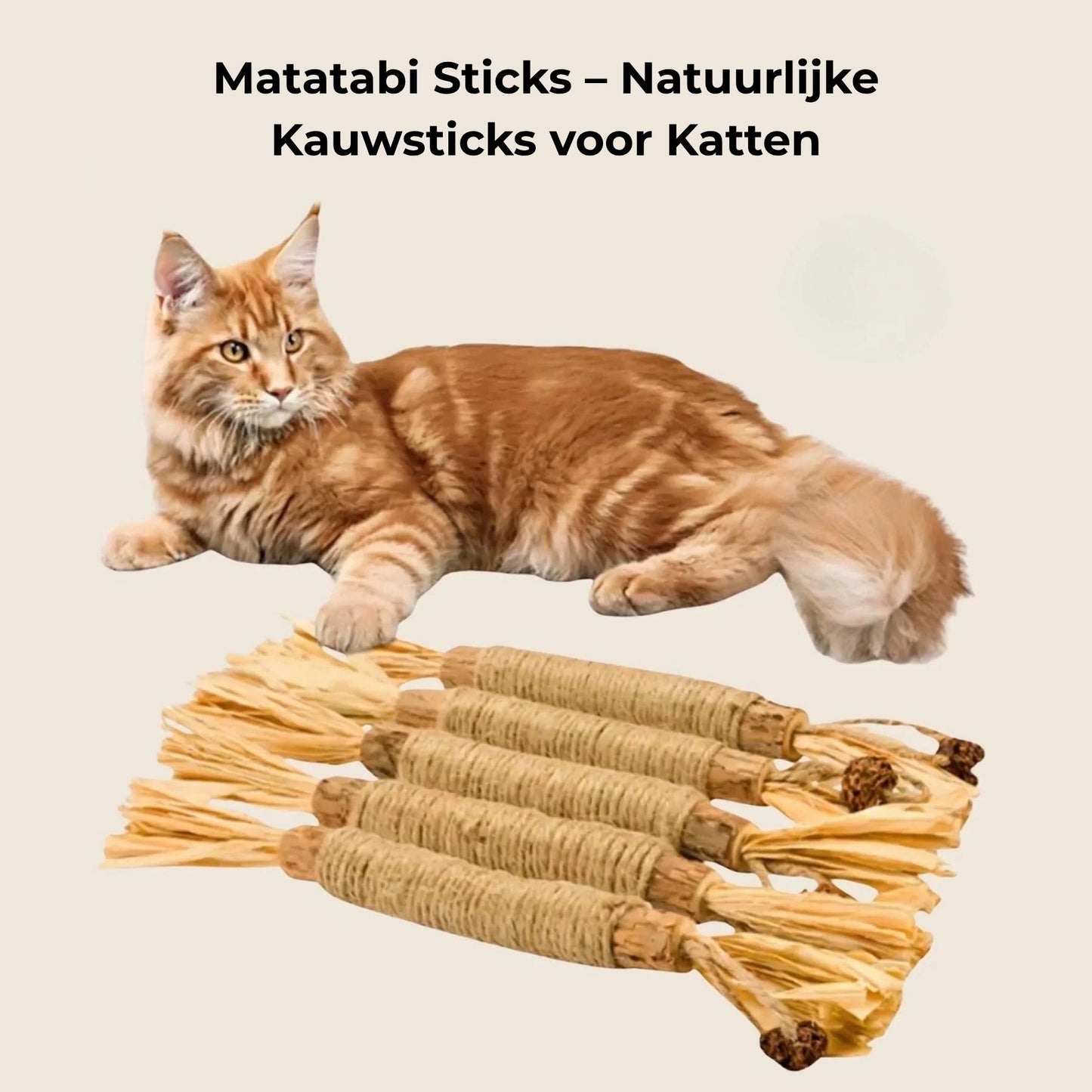Matatabi Sticks natuurlijke kauwsticks voor katten