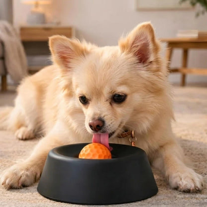 SlowFeeder - kalmeert je hyperactieve hond binnen minuten